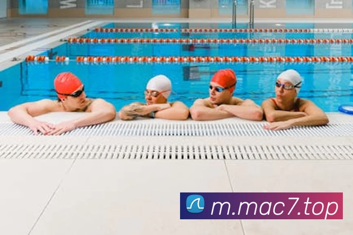 c7娱乐平台生态图